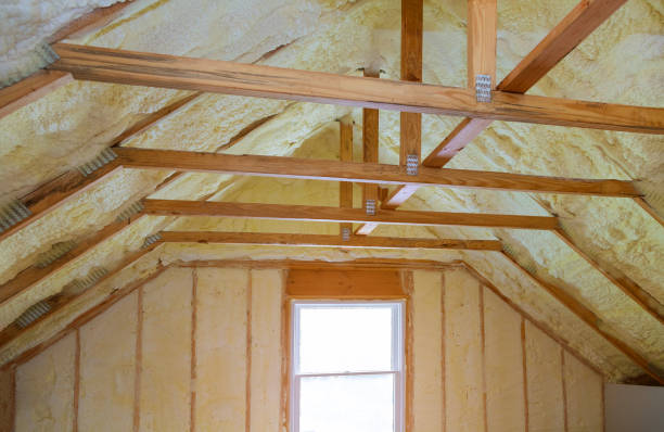 Insulation Repair Services in Elm City, NC