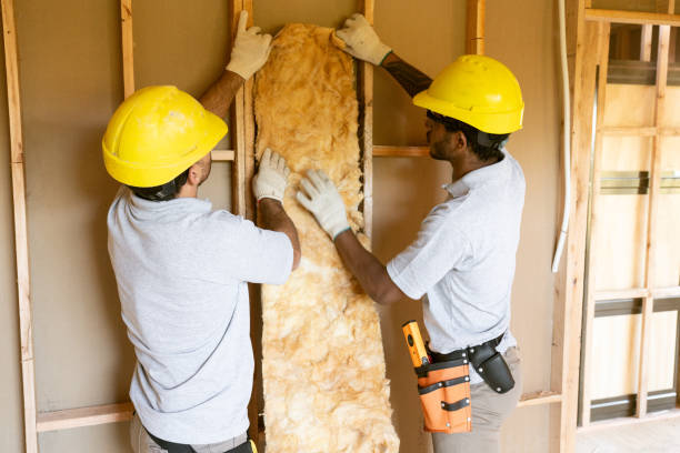 Best Insulation Replacement Services  in Elm City, NC