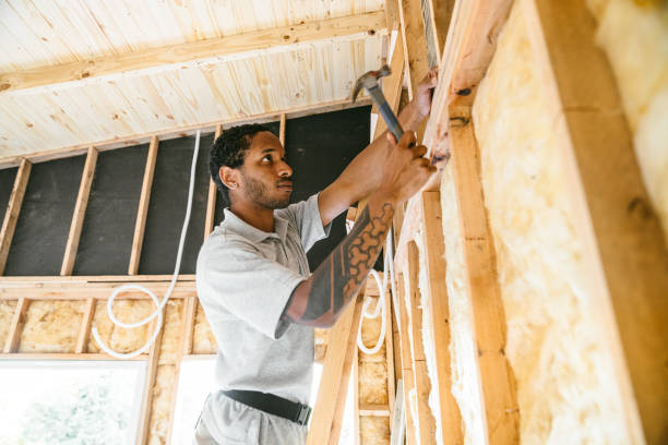 Best Insulation Contractor Near Me  in Elm City, NC