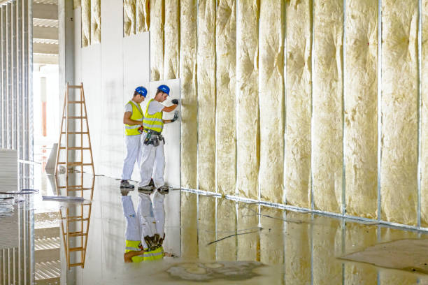 Best Professional Insulation Contractor  in Elm City, NC